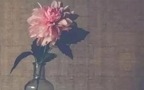 看见你花钱看不见你干活的句子文案