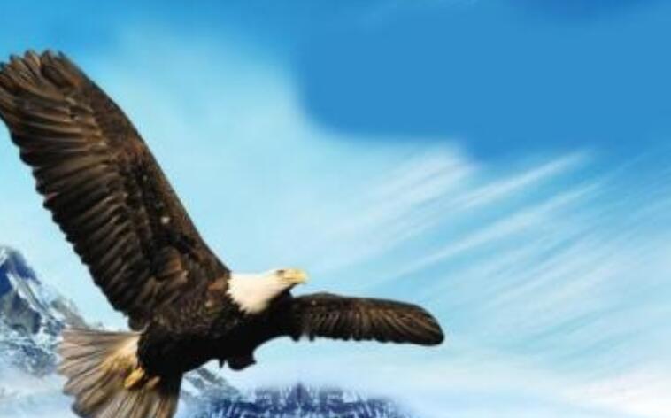 励志好诗句文案大全唯美