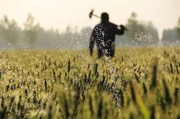 让生活丰富多彩的句子文案