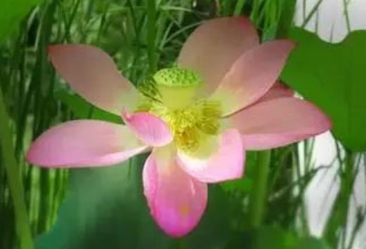 希望我们永远不分开句子文案