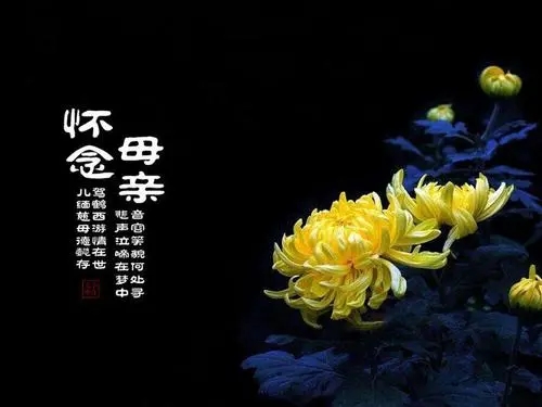 思念天堂父母的伤感图片句子文案