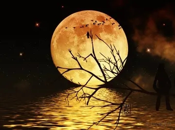 赞美语文的中国诗句文案