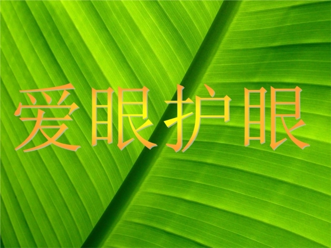 爱眼护眼的名言警句