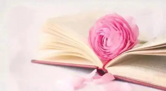 表达自己野心的句子文案