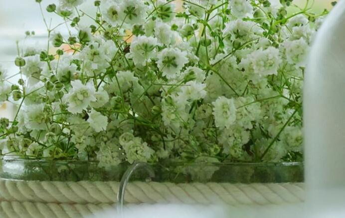 儿子长大成熟懂事说说文案