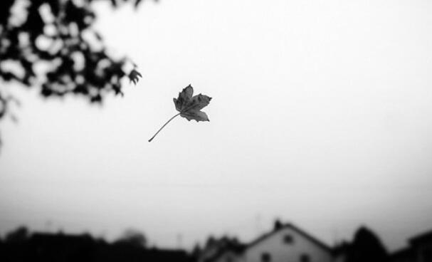 珍惜爱你的人的句子文案