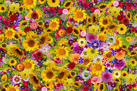 关于兴奋的句子文案或词语