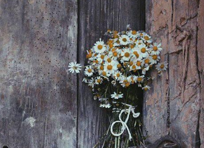 简短好句文案200个