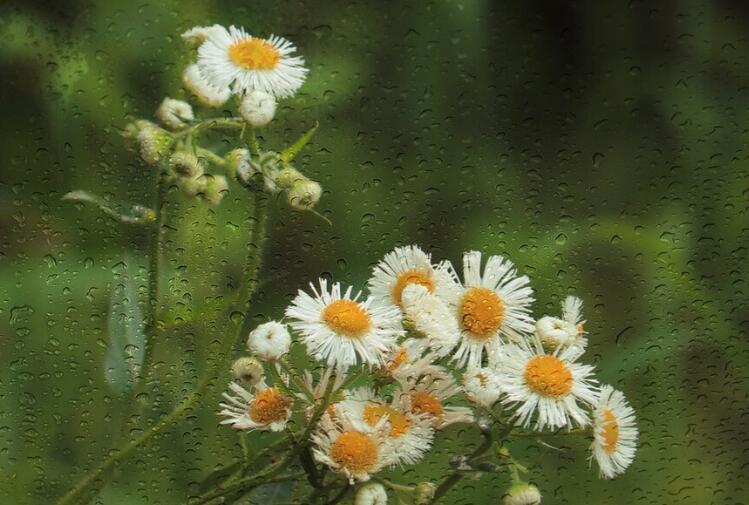 关于对错的经典语句文案