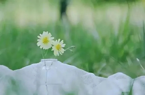 关于夏日的文艺句子文案