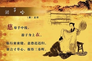 赞美母亲的句子文案大全