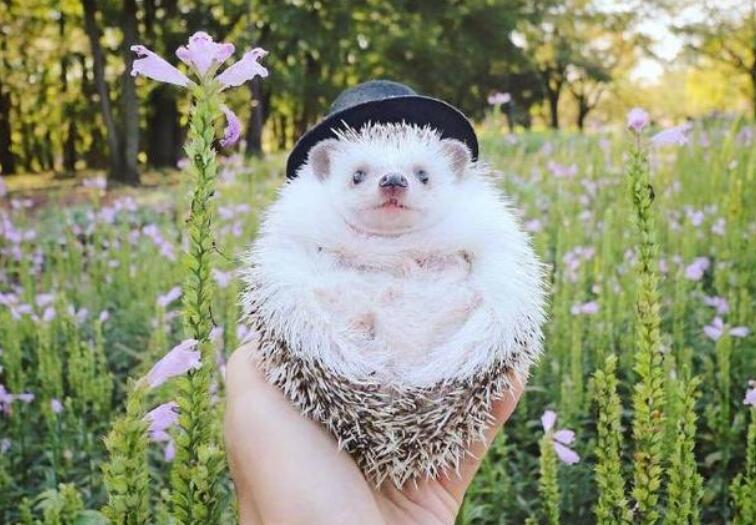 经过努力而蜕变的句子文案