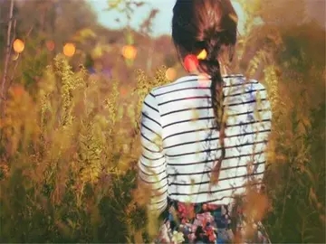 日语经典句子文案励志句子文案