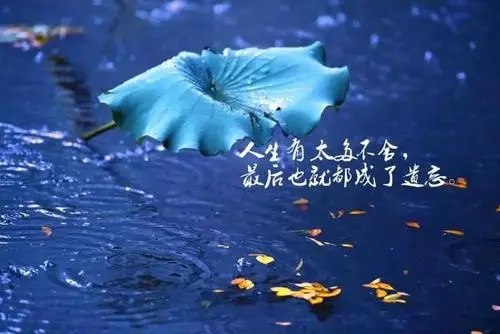 句句精辟的励志句子文案