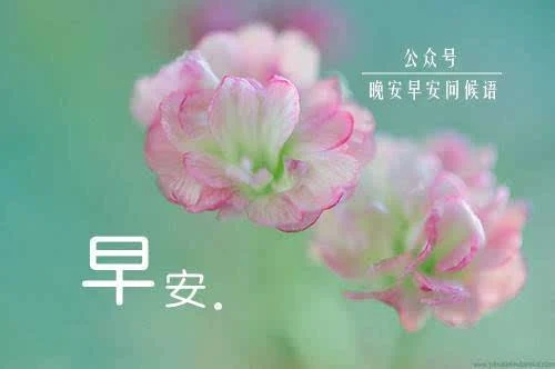 早安心语幽默可爱