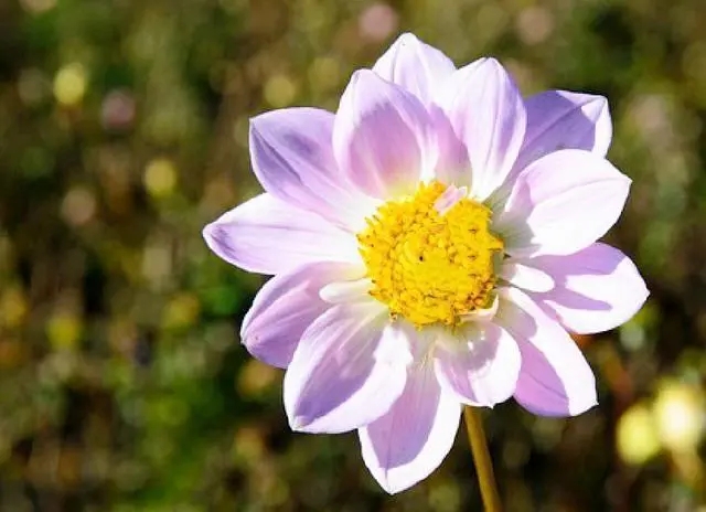 高三接地气励志句子文案