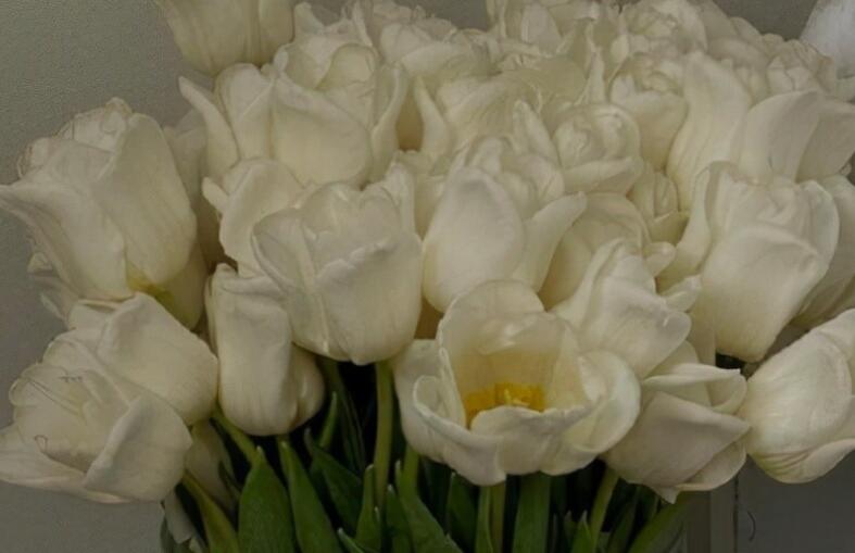 给对象留言的暖心短句