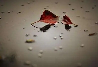 痛失爷爷痛苦心情的句子文案