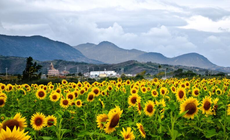 希望你能懂我短句