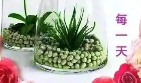 早安好心情经典语句文案