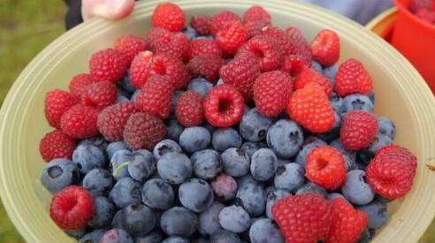 采摘的心情说说文案