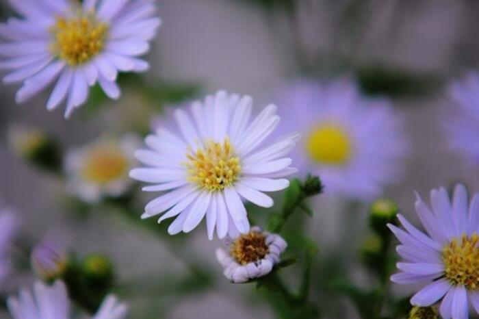 做微商早安与正能量一句话