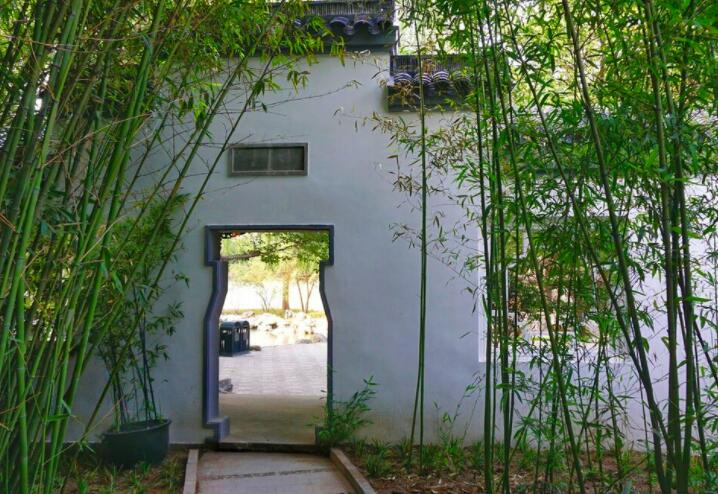 描写夏季雨后凉爽的诗句文案