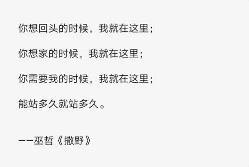 简短很美的经典语录文案