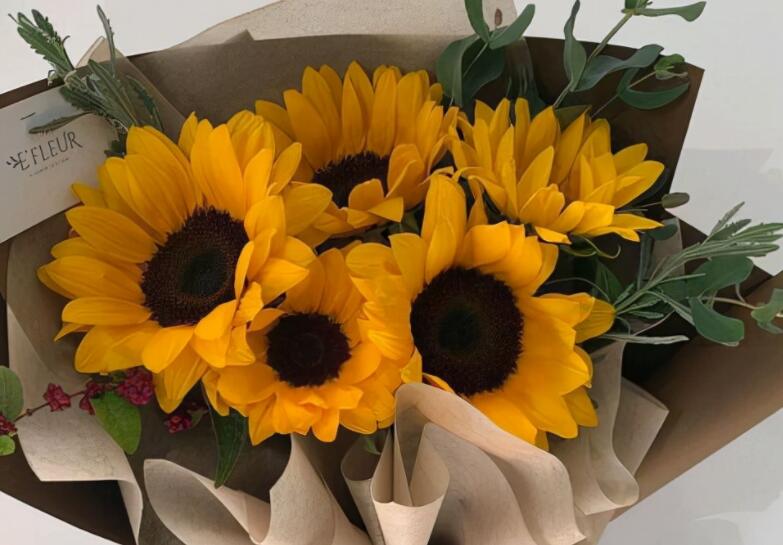 工作签名简短的