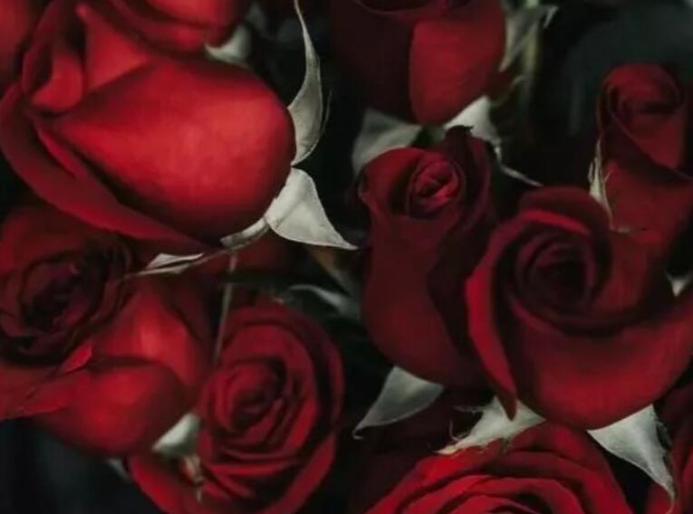 形容把心交给一个人的诗句文案