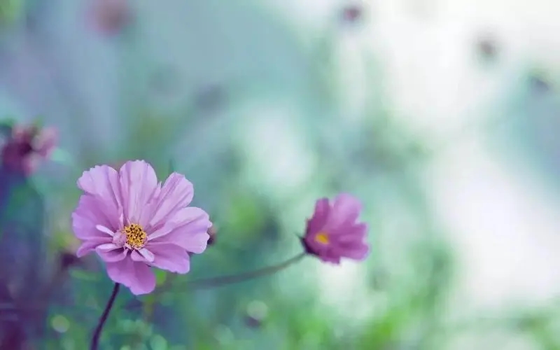 对朋友不常联系的美句