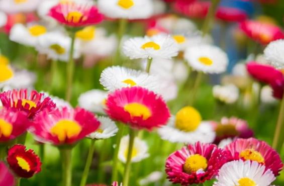 清晨激励人心的话语