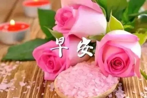 最感动情人的一句话早安