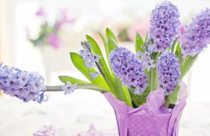 早上最暖心的情话文案