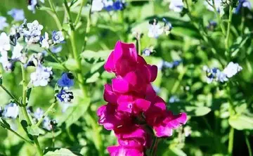 鼓励人生的句子文案优美