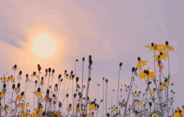 嘴贱的人怎么发朋友圈