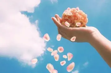 感叹人心变了的句子文案