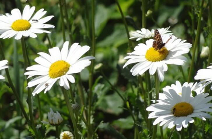 有关于反省的名人名言