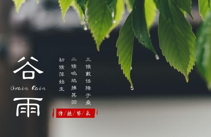 四月谷雨诗句文案