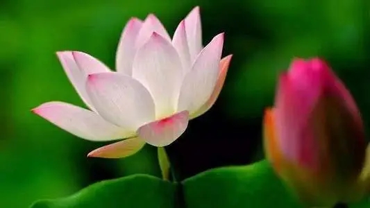 人生励志语录经典句子文案50字