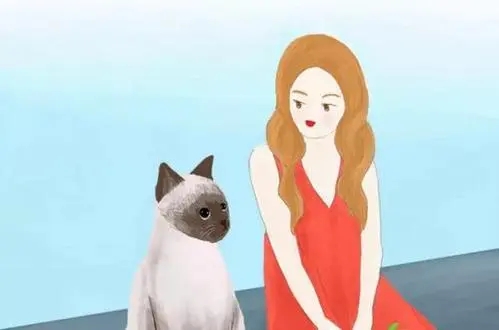 不发朋友圈的女生