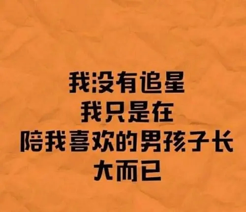 关于追星唯美句子文案