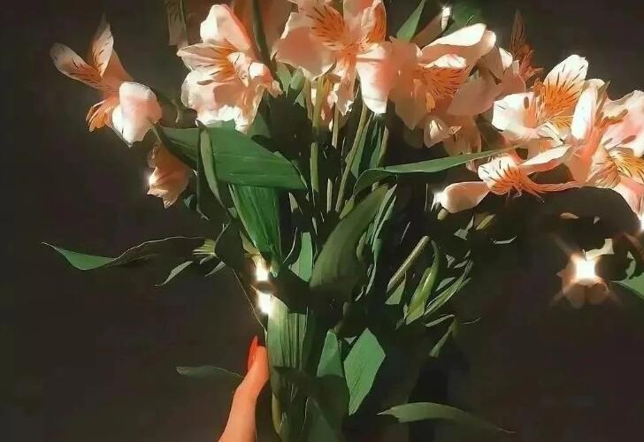 暗恋的语录文案