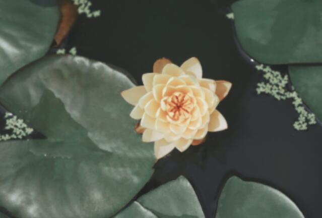 幽默正能量励志的句子文案