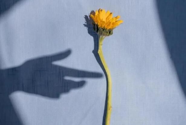 摘抄十句优美句段