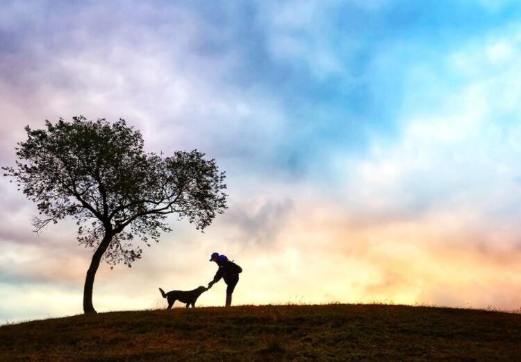 形容世界太小相遇的句子文案