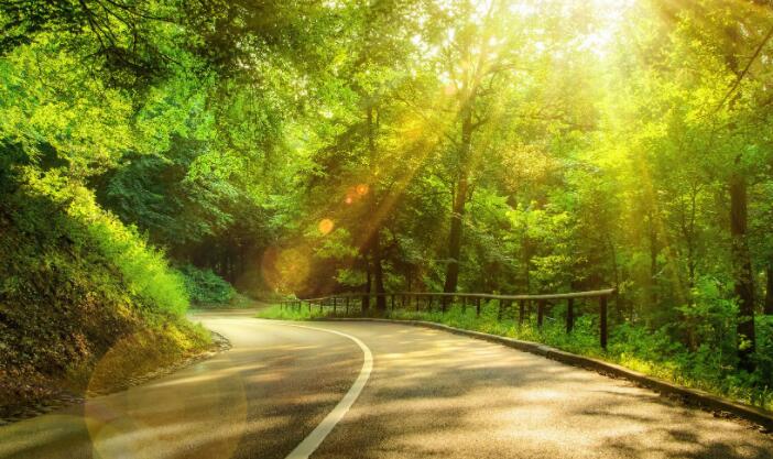 走出监狱感慨句子文案