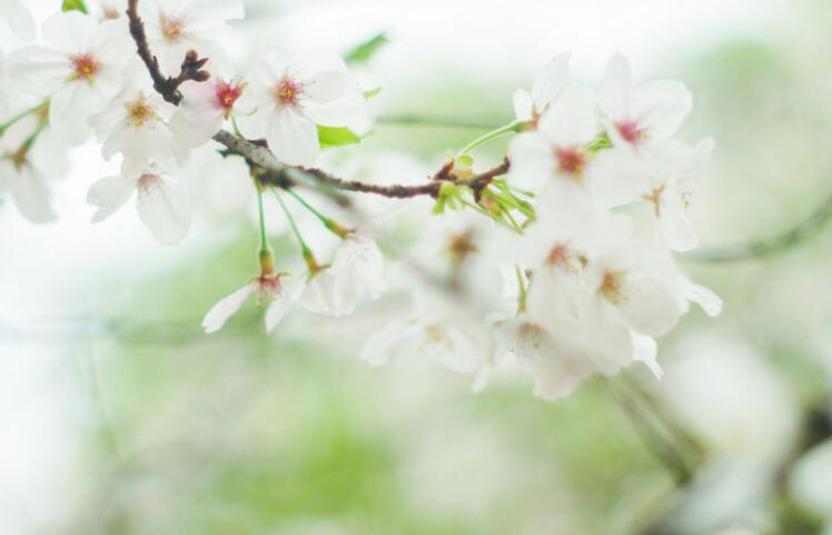 三十岁男人扎心语录文案