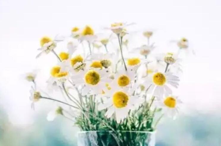 新的一天早安一句话