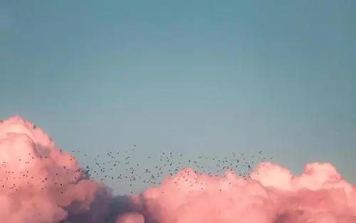 摘抄最喜欢的一句话